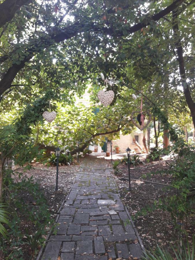 Villa Il Gatto E Il Violino Lido di Fermo Exterior foto
