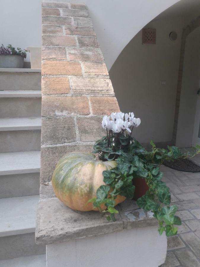 Villa Il Gatto E Il Violino Lido di Fermo Exterior foto