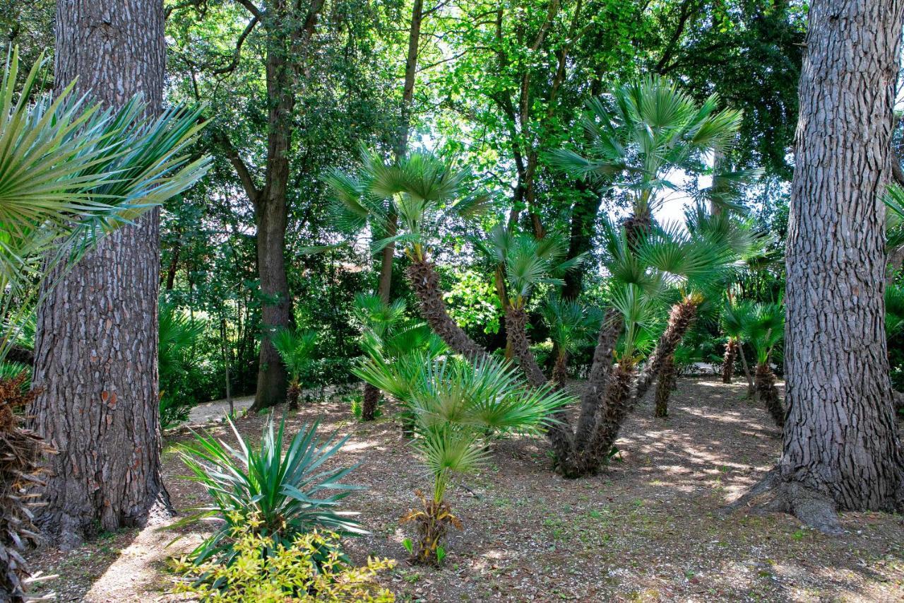 Villa Il Gatto E Il Violino Lido di Fermo Exterior foto