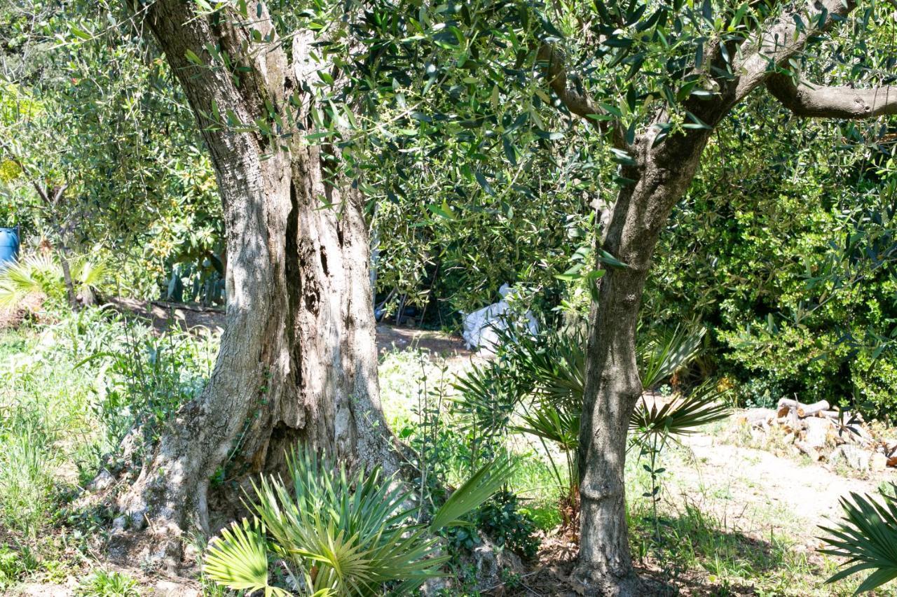 Villa Il Gatto E Il Violino Lido di Fermo Exterior foto